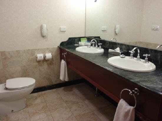 toilet-with-twin-wash.jpg