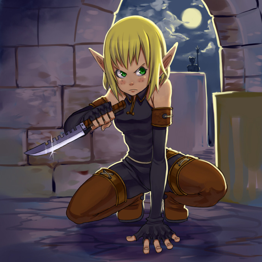 wakfu3.jpg