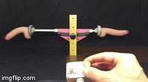 lm42pInAction (2).gif